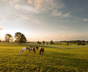 Wonders of Kentucky & Tennessee